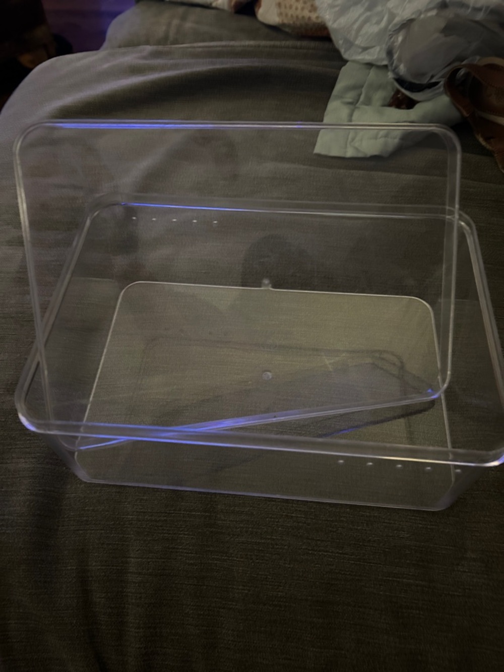 Clear Plastic Shoe Storage Case - Transparent